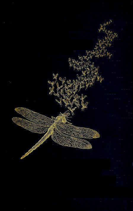 Dragonfly Wallpaper Aesthetic, Dragonfly Aesthetic, Dragonfly Wallpaper, Vintage Book Covers, Marine Blue, Cover Photo, Dragonflies, Wallpaper Iphone Cute, Vintage Book