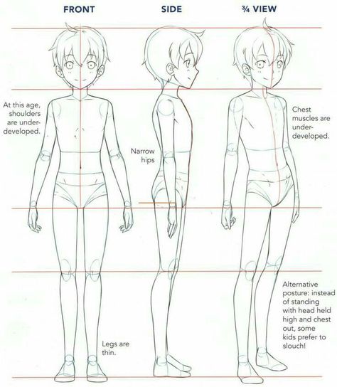 Boy Body, Drawing Anime Bodies, How To Draw Anime, Body Tutorial, Drawing Body Poses, Anatomy Tutorial, Body Sketches, Character Model Sheet, Body Drawing Tutorial