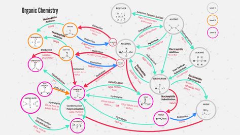 Mind map linking organic compounds, view the slideshow to see examples of the mechanisms! Organic Chemistry Reactions Mind Map, Organic Chemistry Mind Map, Chemistry Tricks, Shield Drawing, Organic Chemistry Reactions, Trust Yourself Quotes, Organic Reactions, Organic Chem, Mind Map Design