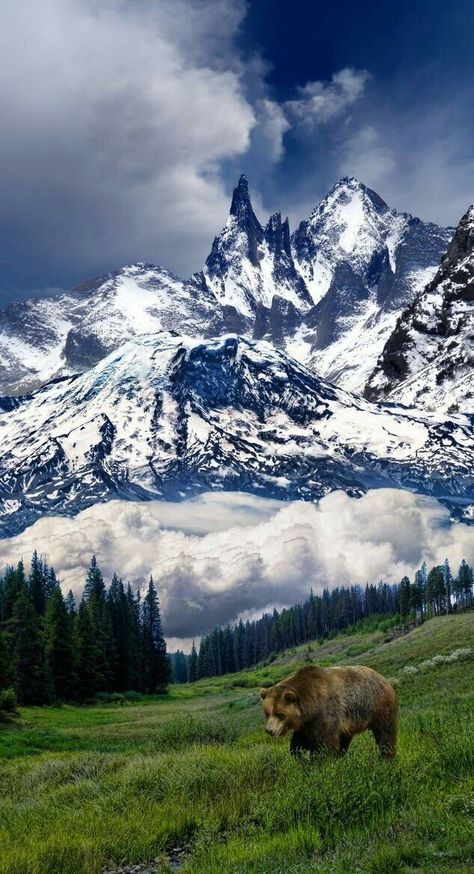 Regnul Animal, Montana Mountains, Mountain High, Mountain Photography, Alam Yang Indah, Zambia, Pretty Places, Rocky Mountain, Belize