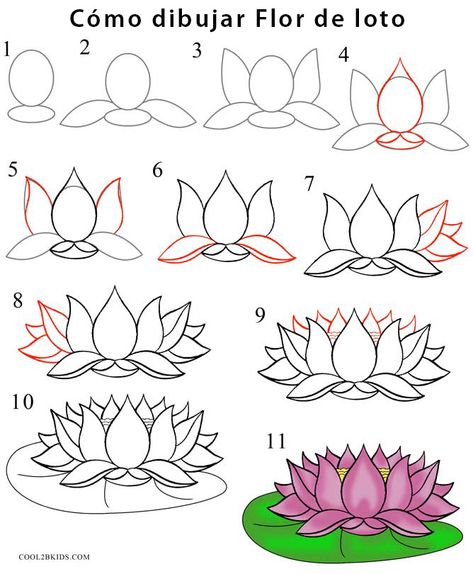 Draw Lotus Flower, Draw A Lotus Flower, Flower Drawing Tutorial Step By Step, Lotus Flower Drawing, Lotus Drawing, Flower Step By Step, Lotus Flower Art, Flower Drawing Tutorials, Step By Step Watercolor