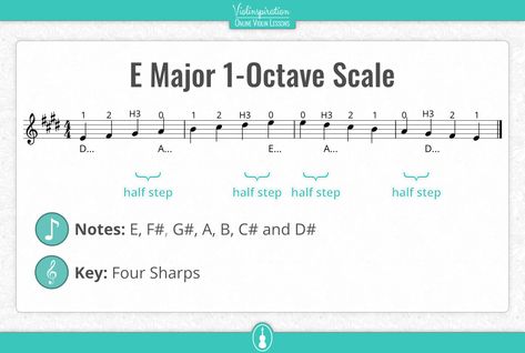 E Major Scale Violin Scale - first position notes and fingering Vivaldi Spring, Violin Scales, Free Violin Sheet Music, Violin Practice, C Note, Violin Lessons, Major Scale, Violin Sheet, E Major