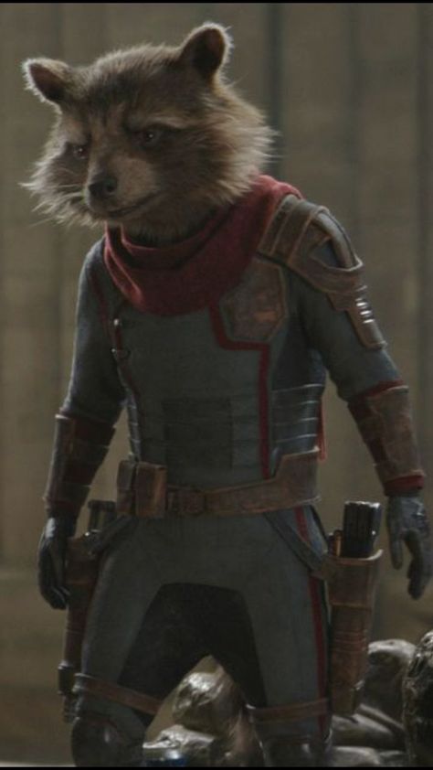 Rocket Raccoon Costume, Rocket Raccoon Cosplay, Rocket Costume, Oogie Boogie Costume, Raccoon Costume, Wolf Comics, Face Mapping, Rocket Raccoon, Racoon