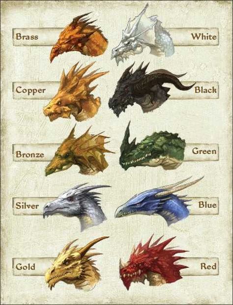 D&D question! - Imgur Chromatic Dragon, 4 Kings, Dragon Heads, Creaturi Mitice, Types Of Dragons, Dragon Images, Dragon Pictures, Dragon Artwork, Mythical Creatures Art