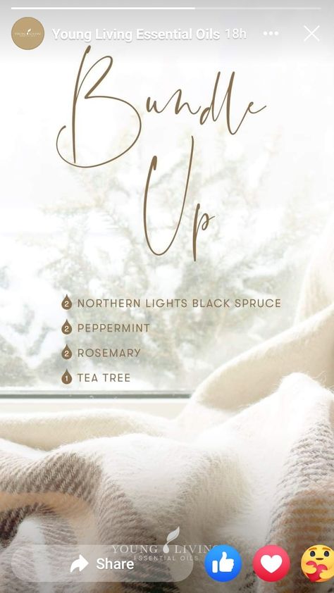 Black Spruce Essential Oil, Northern Lights Black Spruce, Diffuser Blends Young Living, Spruce Essential Oil, Fall Diffuser Blends, Black Spruce, Essential Oil Combinations, Essential Oil Diffuser Blends Recipes, Young Living Essential Oils Recipes