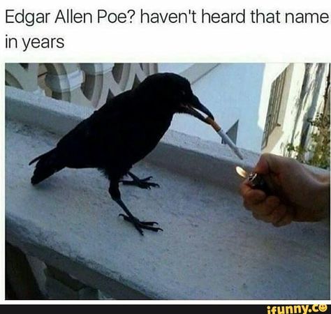 Ukai Keishin, Allen Poe, Edgar Allen Poe, Black Bird, Tumblr, Black