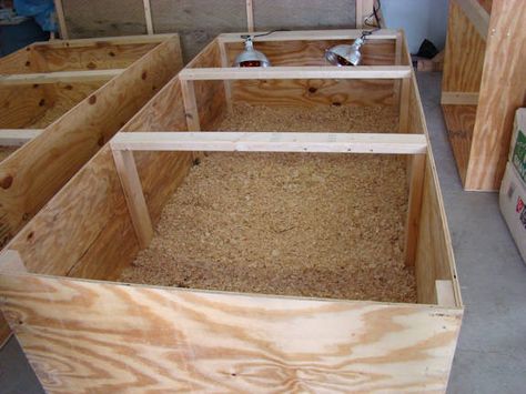 Chicken Brooder Box, Brooder Box, Chicken Brooder, Meat Birds, Chicken Pen, Backyard Chicken Coop Plans, Diy Chicken Coop Plans, Backyard Chicken Farming, Best Chicken Coop