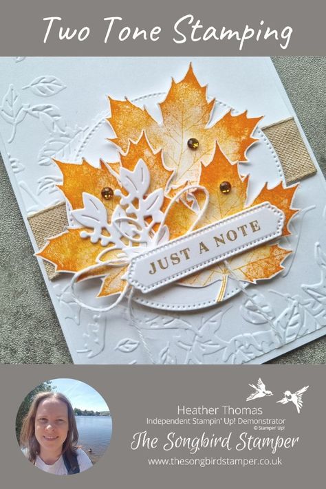 Soft Seedlings, Fall Cards Handmade, Thanksgiving Cards Handmade, I Love Autumn, Fall Greeting Cards, Love Autumn, Leaf Cards, Autumn Colours, Beautiful Handmade Cards