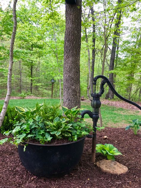 Cast Iron Flower Pot Ideas, Cast Iron Cauldron Ideas, Cast Iron Kettle Planter Ideas, Old Pond Fill In Ideas, Landscaping With Antiques, Cauldron Planter Ideas, Vintage Water Pump Ideas, Antique Water Pump Ideas, Cast Iron Kettle Decorating Ideas