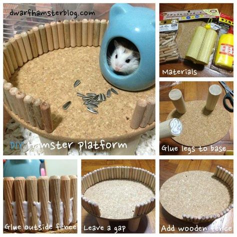 Project IKEA - Platform/Level - Page 20 - Hamster Central Teddy Hamster, Kandang Hamster, Hamster Bin Cage, Diy Hamster Toys, Hamster Platform, Hamster Diy Cage, Gerbil Cages, Animals Kissing, Mouse Cage