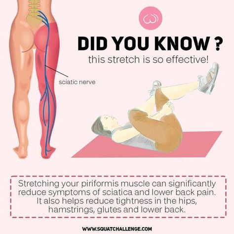 Squat Challenge on Instagram: "There’s a tiny muscle you’ve probably never heard of that has a powerful effect on your daily movements, and can even be linked to sciatica. It’s called the piriformis and it enables you to move your hips, upper legs, and feet away from your body. The piriformis also covers the sciatic nerve that runs from your lower back and down towards your legs. When the sciatic nerve becomes pinched, it results in a very painful condition called “sciatica.” The strains of da Upper Back Pain Exercises, Sciatic Nerve Stretches, Mid Back Pain, Sciatica Symptoms, Piriformis Muscle, Sciatica Exercises, Pinched Nerve, Back Stretches For Pain, Lower Back Pain Exercises