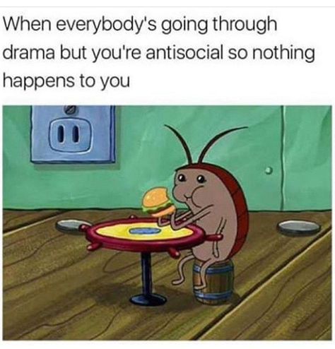 Middle School Memes, Tea Morning, Memes In Real Life, Introvert Humor, Spongebob Memes, Memes Br, School Memes, Memes Humor, Life Memes