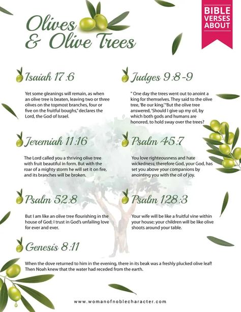 An in-depth look at olives in the Bible as well as olive trees, olive oil and olive branches. Scripture references & the symbolism of Olives in the Bible. With two free PDFs  #olivesintheBible #oliveoilintheBible #olivetreesintheBible #olivebranchesintheBible #foodintheBible #usesforolivesintheBible #womanofnoblecharacter #mountofolivesintheBible Olive Branch Scripture Tattoo, Olive Oil Spiritual Meaning, Olive Oil Spiritual Uses, Olive Branch Scripture, Olive Tree Bible Verse, Olive Tree Symbolism, Olive Branch Bible Verse, Olive Branch Quotes, Olive Branch Symbolism