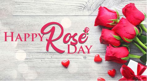 Happy Rose Day Wallpaper, Rose Day Pic, Rose Day Wallpaper, Rose Day Shayari, Bunch Of Red Roses, Happy Rose Day, Valentine Day Week, Rose Day, Valentine Wishes