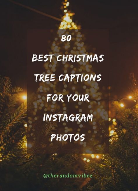 Collection of best Christmas tree captions for your Instagram photos this holidays! #christmastreecaptions #christmastreecaptions2020 #christmascaptions2020 #christmastreeinstagramcaptions #christmasinstagramcaptions #christmascaptions2020 #