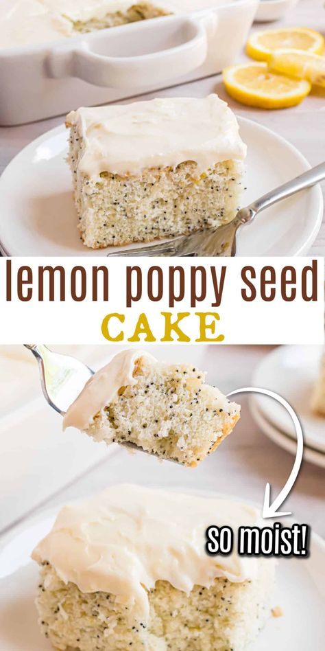 This moist Lemon Poppy Seed Cake is speckled with poppy seeds and topped with rich cream cheese frosting. Fresh flavor from real lemon zest makes this cake irresistible to lemon lovers! Made in a 13x9 baking dish for easy assembly! Lemon Poppyseed Cake Recipe, Poppy Seed Cake Recipe, Lemon Poppy Seed Cake, Cake Flour Substitute, Lemon Treats, Lemon Layer Cakes, Lemon Poppyseed Cake, Dessert Cakes, Shugary Sweets