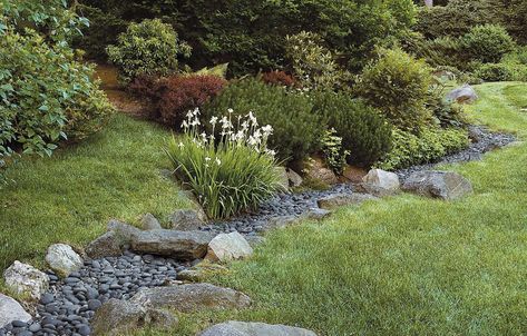 This river of rocks, AKA a drainage swale, will prevent flooding in your yard —and protect natural waterways by filtering storm water runoff. For more, check the link in our Instagram story or search STORM WATER at thisoldhouse.com#gardening #gardens #rain #weather #diy #water #homeimprovement #instadaily #thisoldhouse #yard #yards #pbs Landscape Drainage, Drainage Ditch, Yard Drainage, Storm Water, Drainage Solutions, Creek Bed, Dry Creek, Rain Garden, Landscaping Tips