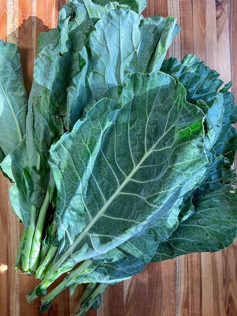 How To Freeze Fresh Collard Greens, Blanching Collard Greens, Pickled Collard Greens, How To Freeze Collard Greens, Freezing Collard Greens, Freeze Collard Greens, Canned Collard Greens Recipe, Freezing Butternut Squash, Collar Greens