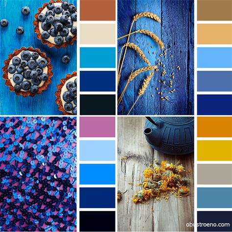 Color Theory Art, Color Palette Challenge, Color Palette Yellow, Color Catalog, Color Schemes Colour Palettes, Color Palette Design, Color Harmony, Color Balance, Colour Board