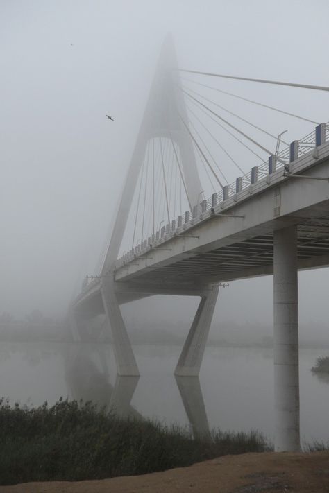 Ahvaz City, Cafe Photo, Profile Pictures Instagram, Iranian Art, Scenery Nature, Beautiful Scenery Nature, Bay Bridge, Beautiful Scenery, Sky Aesthetic