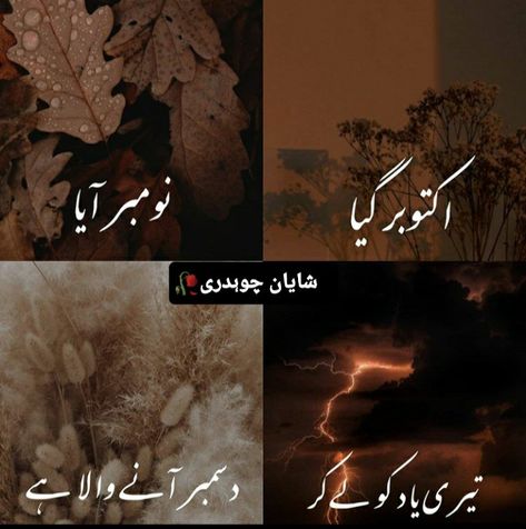 Poetry About November, November Poetry In Urdu, November Poetry, Snaps Streaks, Kanwal Aftab, I Miss You Cute, December Night, Lost Myself Quotes, Heart Feelings