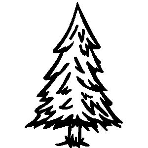 Fir Tree Drawings, Easy Pine Tree Drawing, Forest Tree Drawing, Spruce Tree Drawing, Pine Tree Doodle, Pine Tree Outline, Pine Drawing, Cnc Artwork, Father's Day Drawing