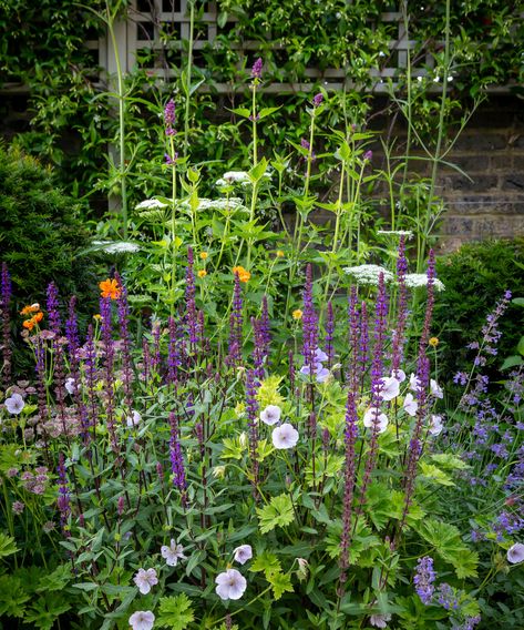 Butter Wakefield, Small Garden Borders, Small House Garden, Small Yard Landscaping, Narrow Garden, Garden Nook, Planting Design, Landscaping Inspiration, Back Garden Design