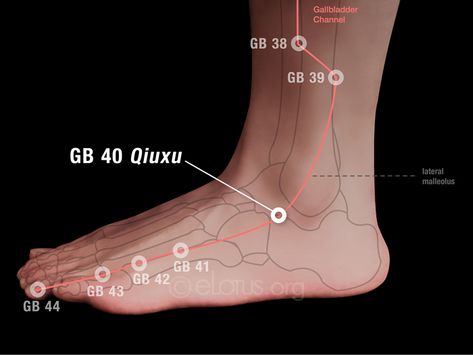 Comprehensive information about the Master Tung's acupuncture point, Qiuxu (GB 40) Acupuncture Point, Acupuncture Points, Reflexology, Acupressure, Acupuncture, The Master, China, Coffee, Pins