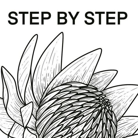 Kaily Wilson on Instagram How To Draw A Protea Step By Step, Protea Flower Template, Diy Protea Flowers, How To Draw A Protea, Protea Stencil, Protea Flower Drawing, Protea Sketch, Protea Line Drawing, Proteas Flower