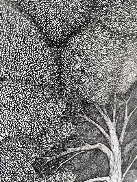 Tree of Presence Ink Drawing | GALLERY | GB Tree Drawing Pen, Liner Art Drawing, Trees Linocut, Tree Line Drawing, Coral Drawing, Trees Drawing, Being High, Scribble Drawing, Ink Lettering