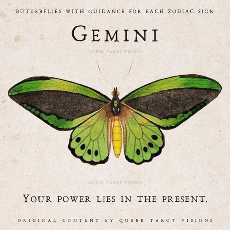 Katherine + Core + Aesthetic, Gemini Butterfly, Gemini Zodiac Quotes, Gemini Art, Gemini Rising, Gemini Life, Mommy Tattoos, Astrology Gemini, Astrology Numerology