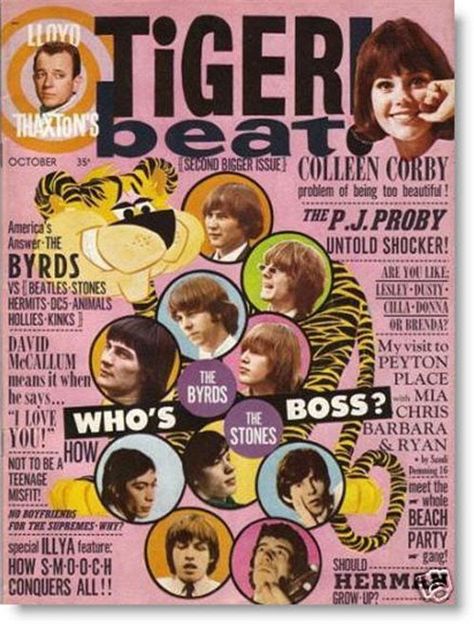 Tiger Beat Magazine, Colleen Corby, Tiger Beat, Teen Magazine, Books For Teens, Vintage Magazines, Vintage Magazine, Yearbook, Childhood Memories