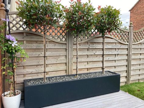 How To Choose The Right Pots & Planters For Your Garden | Flora Select Contemporary Planters Outdoor, Troughs As Planters, Oblong Planter Ideas, Garden Trough Planting Ideas, Trough Planter Ideas Plants, Trough Planter Ideas, Long Planter Ideas, Garden Trough Planters, Plant Troughs