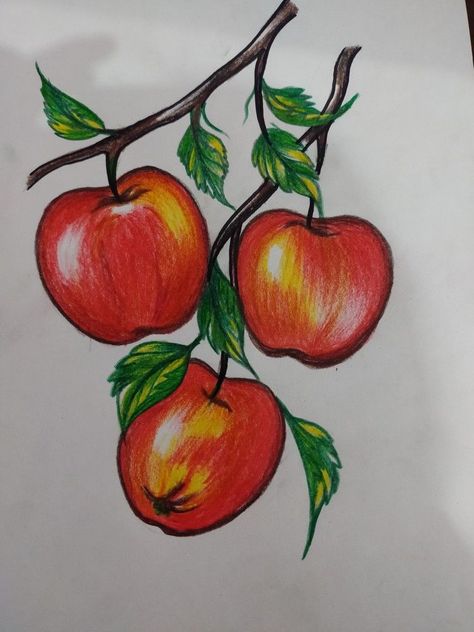 Colour Pencil Drawings Easy Sketches, Nature Drawings Simple Sketch With Color, Colour Pencil Art Easy For Beginners, Color Pencil Sketches Easy, Colour Pencil Drawing Easy, Color Pencil Art For Beginners, Sunflower Drawing Easy, Pencil Art For Beginners, Vegetables Drawing