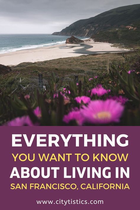 Everything You Want to Know About Living in San Francisco, California Moving To San Francisco, Beautiful Places To Live, Living In San Francisco, Best Places To Live, Pros And Cons, Put Together, Beautiful Places, The City, San Francisco