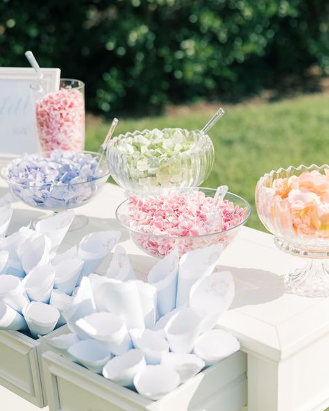 The sweetest floral confetti bar for Lexie and Connor! Guests were able to fill cones with flowers of their choice and shower the bride and groom after they said I do. Confetti Bar Wedding, Floral Confetti, Flower Petal Confetti, Flower Petals Wedding, Confetti Bars, Confetti Table, Petal Confetti, Bar Wedding, Wedding Petals