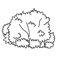 Shrubs Drawing, Bushes Clipart, Bush Drawing, Forest Coloring Pages, Cartoon Template, Forest Coloring, Page And Plant, Enchanted Forest Coloring, Plant Clips