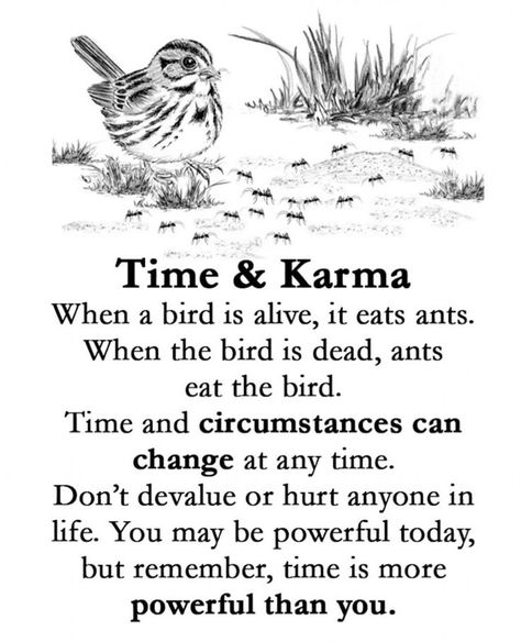 Life Quotes: Time & Karma When a bird is alive, it eats ants. When the bird is dead, ants eat the bird. Time and circumstances can change at any time. Don't devalue or hurt anyone in life. You may be powerful today, but remember, time is more powerful than you. What Is Islam, Lessons Taught By Life, Facts In Hindi, Value Quotes, Be Powerful, Morning Message, Postive Life Quotes, Peace Quotes, Morning Messages