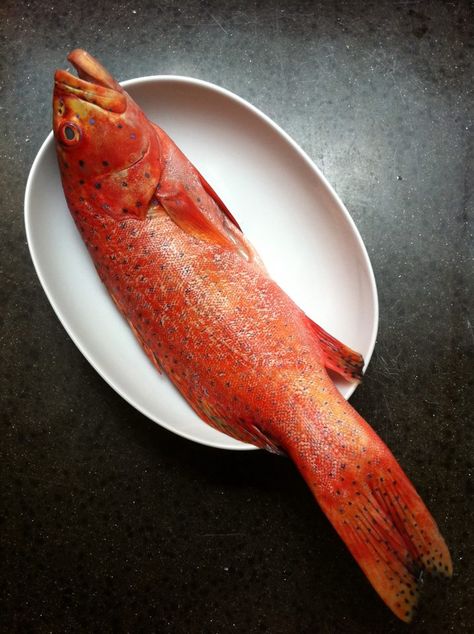 I love this big and beautiful fish!          I got this really fresh red grouper from Chinatown wet market. About 680grams, and it cost me S... Red Grouper, Wet Market, I Love Life, Exhibition Ideas, Favourite Food, Beautiful Fish, I Got This, Love Life, Seafood