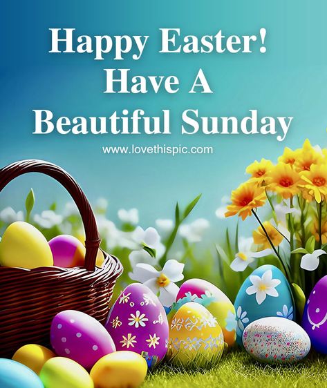 Easter Sunday Images, Congratulations Pictures, Happy Easter Gif, Easter Egg Pictures, Season Pictures, Hope Pictures, Happy Easter Pictures, Happy Easter Quotes, Easter Bunny Pictures