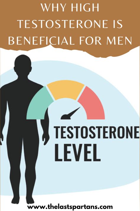 Testosterone is a hormone that plays a vital role in the development and maintenance of male characteristics. It is often associated with muscle growth, strength, and sexual function. Although testosterone is produced in both men and women, men typically have much higher levels of testosterone than women. High testosterone levels have been linked to a variety of benefits for men, including... https://www.thelastspartans.com/post/why-high-testosterone-is-beneficial-for-men Dhea Benefits, Testosterone Pellets, Testosterone Booster Men, Ways To Increase Testosterone, Testosterone Injections, Testosterone Replacement Therapy, Testosterone Therapy, Prostate Health Men, Libido Boost