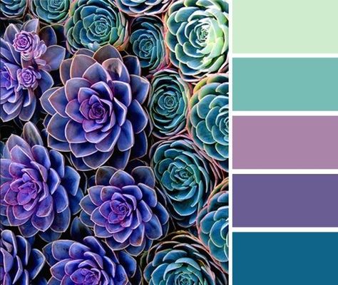 Peacock Color Scheme, Purple Color Combinations, Green Color Scheme, Turquoise Color Palette, Purple Color Palettes, Color Schemes Colour Palettes, Green Colour Palette, Wedding Palette, Bedroom Color Schemes