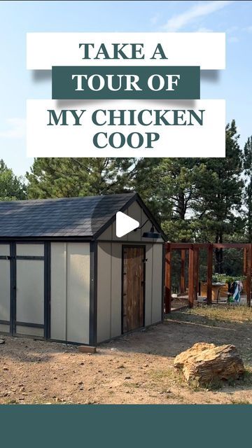 Chicken Coop And Run, Coop And Run, Coop Ideas, Coops Diy, Clean Space, Nesting Box, Diy Chicken Coop, Easy Video, Free Range