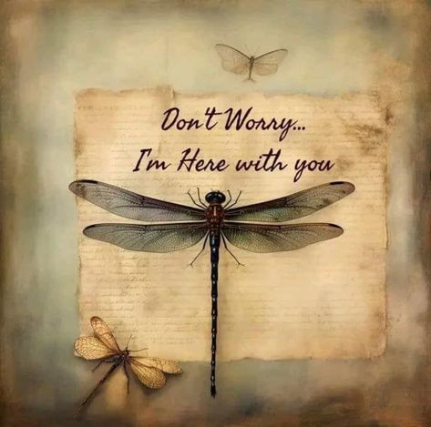 Sayings In French, Dragonfly Quotes, Native Quotes, I Miss My Dad, Dragonfly Painting, Brave Wings, Miss My Dad, Dragon Flies, Card Messages