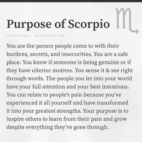 Scorpio Anger, Scorpion Pose, About Scorpio, Scorpio Women, Scorpio Traits, Magick Book, Scorpio Men, Sirius Black, Life Style