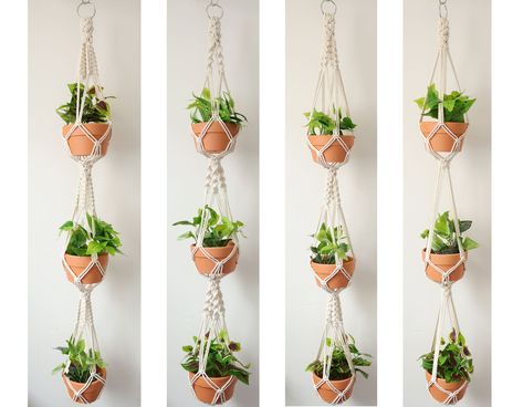 Plant holders indoor