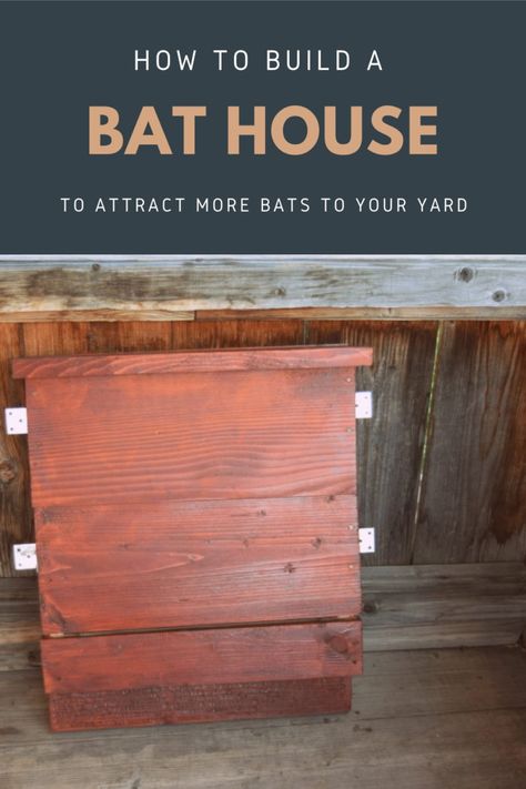 Building a bat house is the best way to attract bats to your yard and here's how to easily build one. How To Make Outdoor Bats For Halloween, How To Make A Bat House, Bat Houses Diy How To Build, Bat Box Plans, Bat House Diy, Wildlife Projects, How To Attract Bats, Attract Bats, Build A Bat House