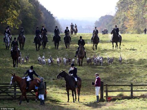 Hunting Lifestyle, Equestrian Helmet, British Country, Hunting Life, Equestrian Lifestyle, Fox Hunting, British Countryside, Horse Blankets, The Fox And The Hound