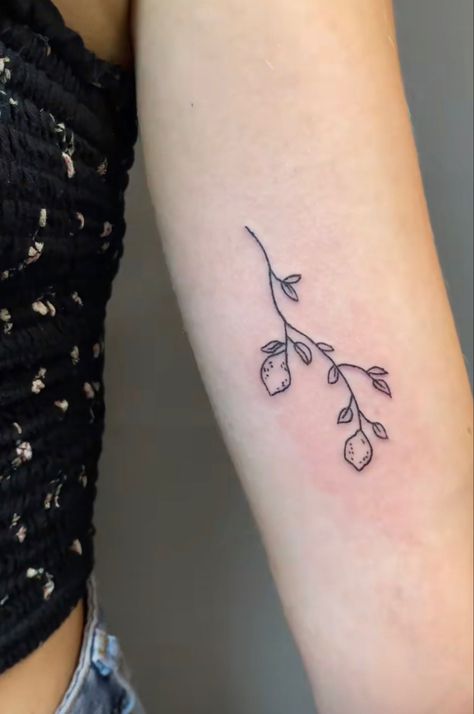 Lime Branch Tattoo, Lime Tree Tattoo, Fruit Branch Tattoo, Fig Branch Tattoo, Lemon Branch Tattoo, Lemon Tree Tattoo, Fig Tree Tattoo, Fig Tattoo, Lemon Tree Branch