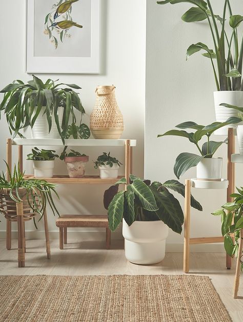 Ikea Plants, Ikea Catalog, نباتات منزلية, Interior Decorating Tips, Plant Decor Indoor, House Plants Decor, Style Deco, Scandinavian Interior, Interior Design Tips